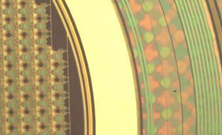 金洋6娱乐平台-金洋6注册-金洋6(合营)官网